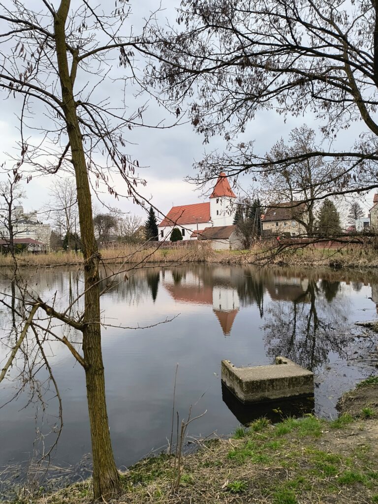 Staw przy pałacu w Mrozowie