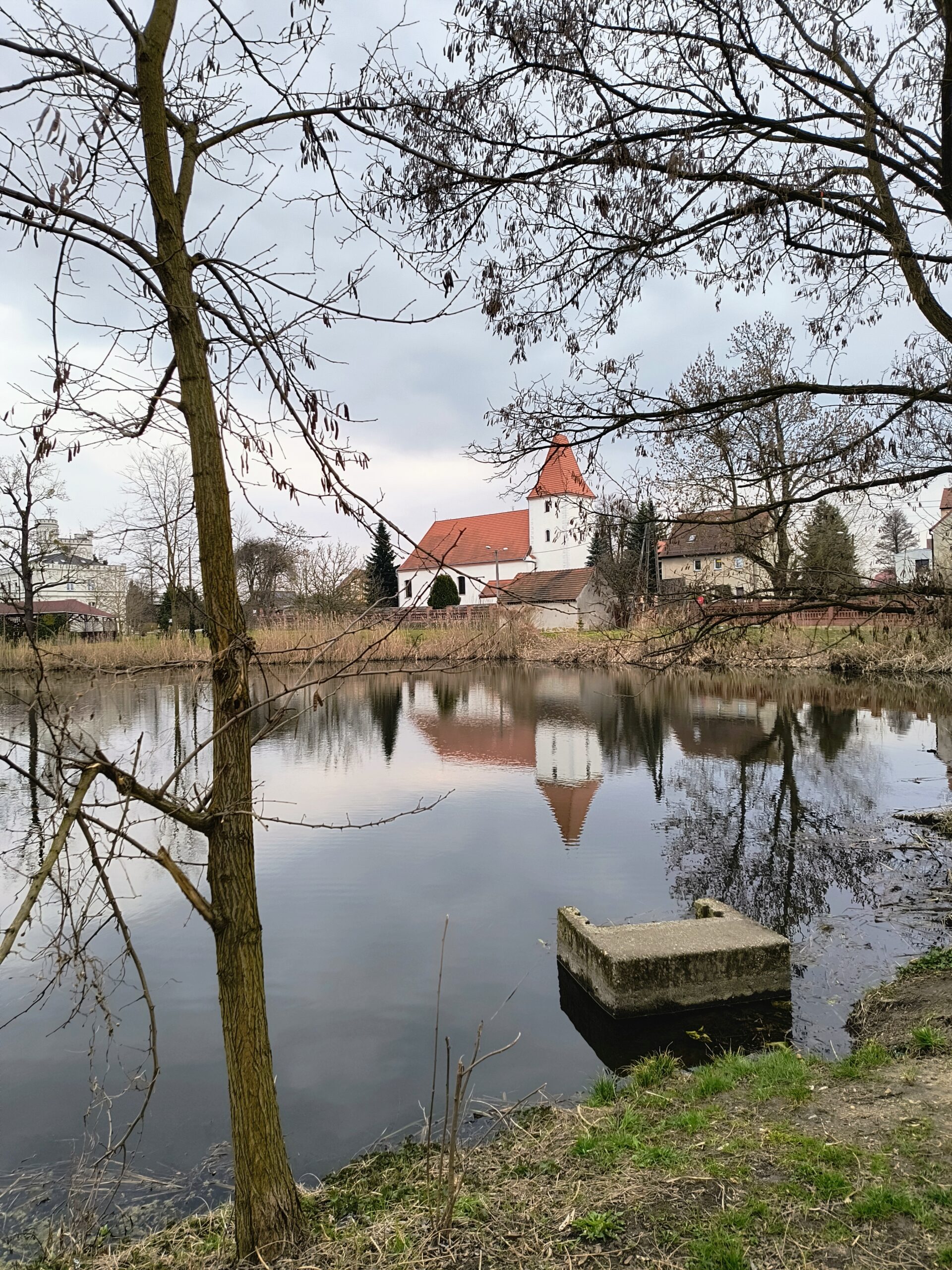 Staw przy pałacu w Mrozowie